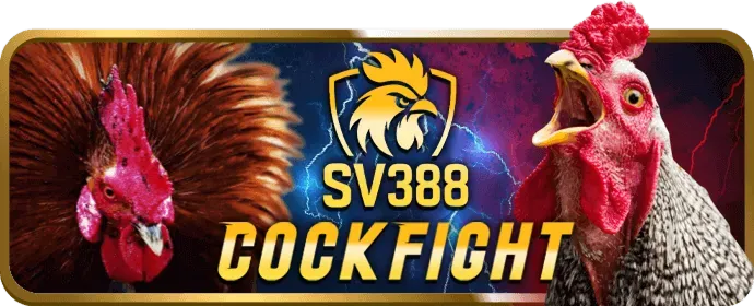Giải thích về Cookie và cách 365bet link sử dụng